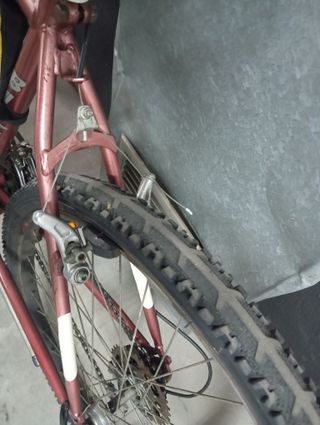 Bicicleta de montaña