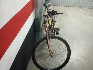 Bicicleta de montaña