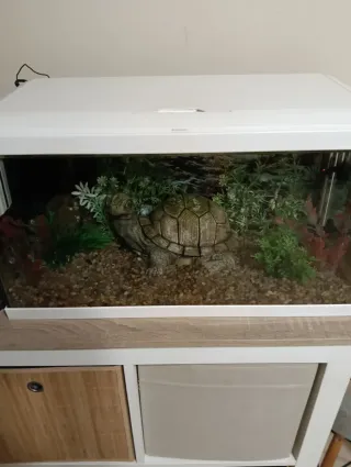 Acuario blanco 60L casi nuevo