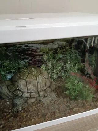 Acuario blanco 60L casi nuevo