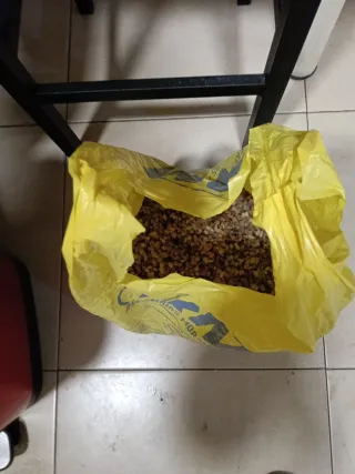 Acuario blanco 60L casi nuevo listo para recoger