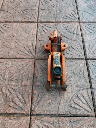 Gata de coche naranja