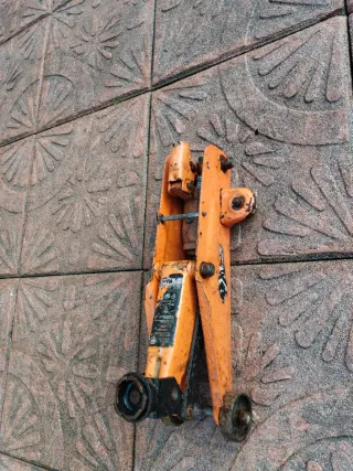 Gata de coche naranja