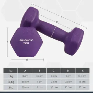 Set Mancuernas SONGMICS