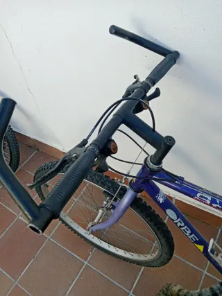Bicicleta Orbea MTB Morada