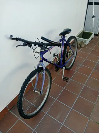 Bicicleta Orbea MTB Morada