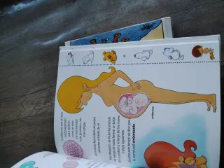 Mi Primer Libro de Sexualidad (Spanish Edition)