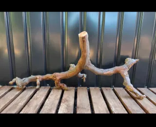 Raíz/tronco Decoración acuario OFERTA SOLO HOY!