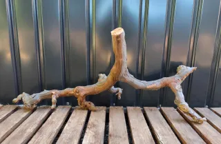 Raíz/tronco Decoración acuario OFERTA SOLO HOY!