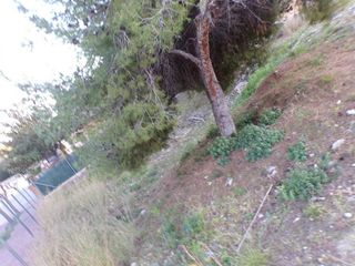 Terreno en venta en Centro en Roda de Barà