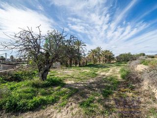 Solar en venta en Carrús Est - Camí dels Magros en Elche