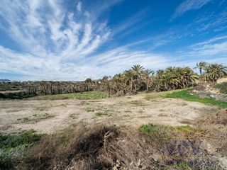Solar en venta en Carrús Est - Camí dels Magros en Elche