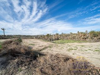 Solar en venta en Carrús Est - Camí dels Magros en Elche