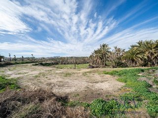 Solar en venta en Carrús Est - Camí dels Magros en Elche