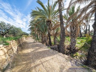 Solar en venta en Carrús Est - Camí dels Magros en Elche