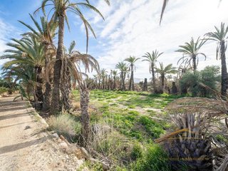 Solar en venta en Carrús Est - Camí dels Magros en Elche