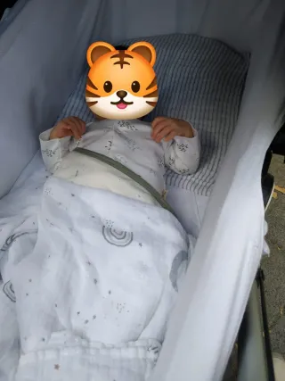 Bugaboo Cameleon 3 Silla + Capazo