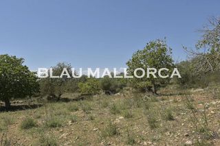 Terreno en venta en Manacor Centro en Manacor