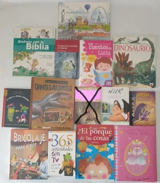 Lote 13 libros infantiles y juveniles