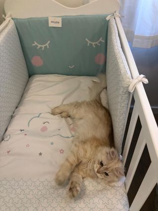 Cajonera cambiador y cuna