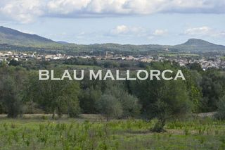 Terreno en venta en Sant Llorenç des Cardassar