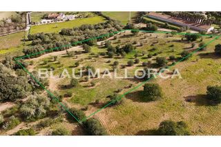 Terreno en venta en Sant Llorenç des Cardassar