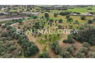 Terreno en venta en Sant Llorenç des Cardassar