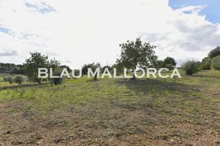 Terreno en venta en Sant Llorenç des Cardassar