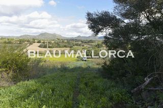 Terreno en venta en Sant Llorenç des Cardassar
