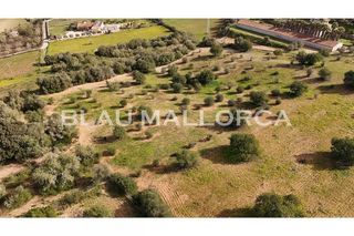 Terreno en venta en Sant Llorenç des Cardassar