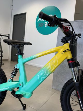 Bicicleta infantil RFN 16