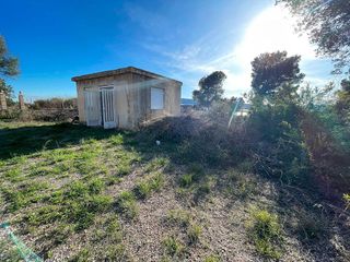 Casa rural en venta en Aspe