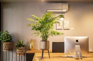 Oficina en venta en Centro en Alicante