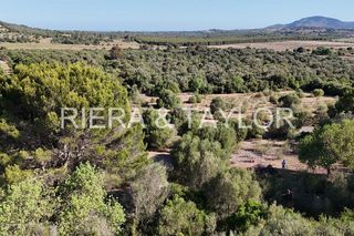 Terreno en venta en Sant Llorenç des Cardassar