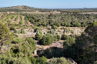 Terreno en venta en Sant Llorenç des Cardassar