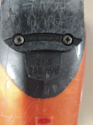 Botas de esquí Rossignol.