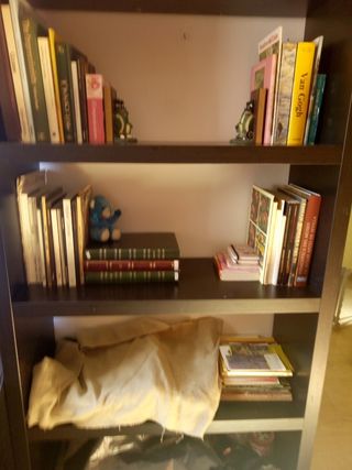 Estantería IKEA Negra