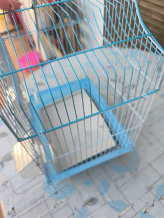 Jaula para pájaros azul y blanca