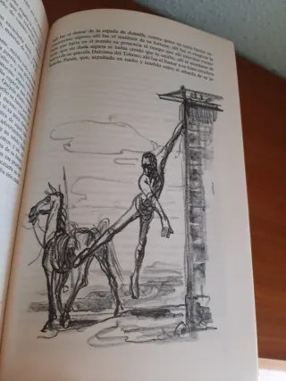 Libro don Quijote