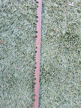 Sierra de podar roja