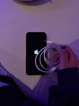 iPhone 13 Pro GOLD con cargador