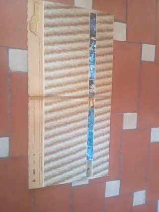 Vinilo Future Sound of Budapest