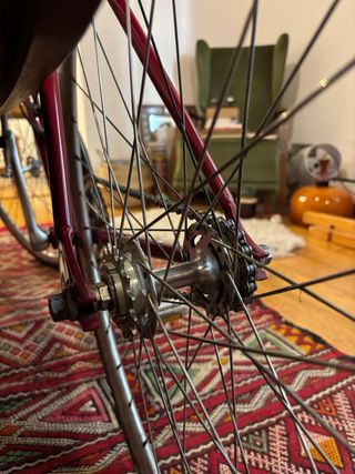 Pure Fix Fixie/Single speed Bici 50cm - Pro Series