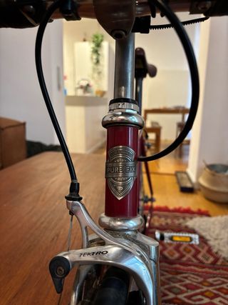 Pure Fix Fixie/Single speed Bici 50cm - Pro Series