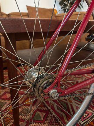 Pure Fix Fixie/Single speed Bici 50cm - Pro Series