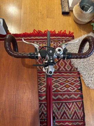 Pure Fix Fixie/Single speed Bici 50cm - Pro Series