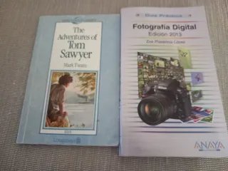 Lote de 15 libros variados