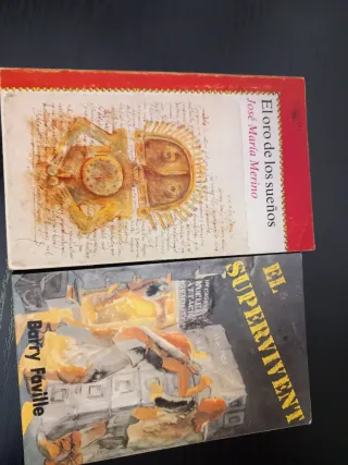 Lote de 23 libros variados