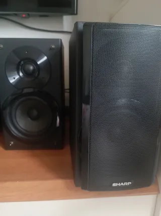 Casse Sharp 100W Nere