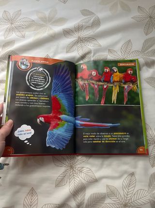 DISNEY MIS AMIGOS LOS ANIMALES (EAGLEMOSS) vol. 00